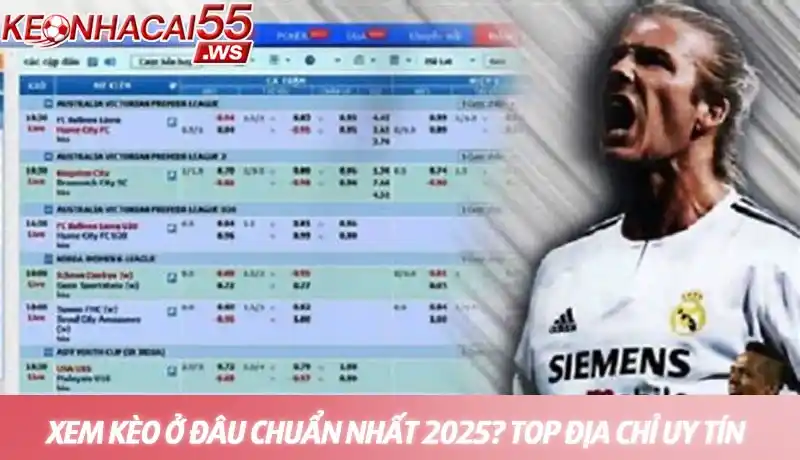 Xem kèo ở đâu chuẩn nhất - Top địa chỉ uy tín được hé lộ